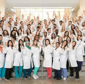 5 Tips for a Successful First Year in Dental School
                  