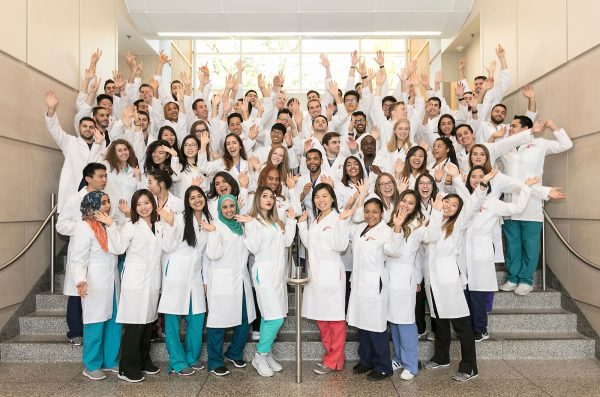 5 Tips for a Successful First Year in Dental School