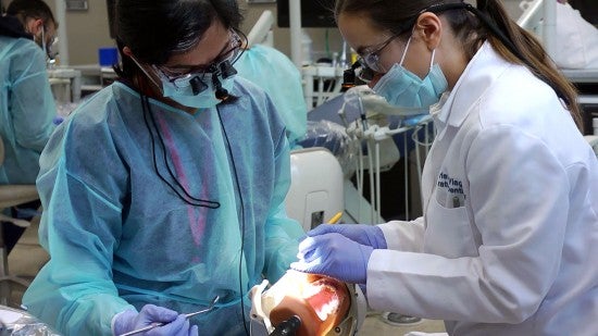 Faculty Resources | College Of Dentistry | University Of Illinois Chicago