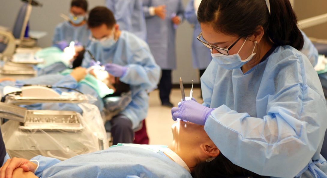 How High School Students Can Prepare for Dental School Now | College of  Dentistry | University of Illinois Chicago