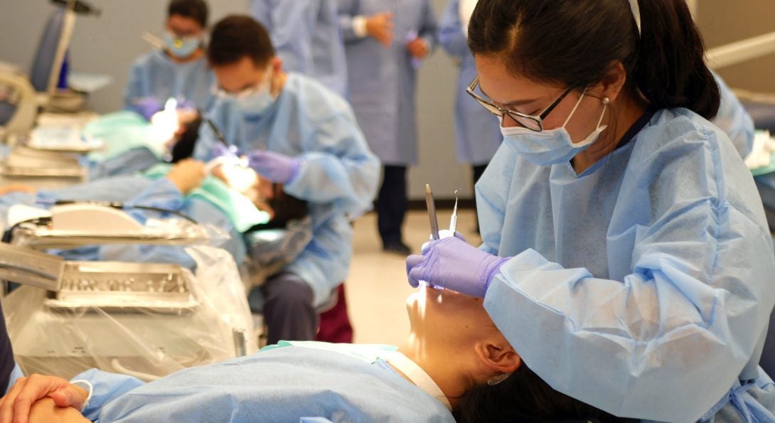 UPenn 7 Year Dental Program Acceptance Rate CollegeLearners