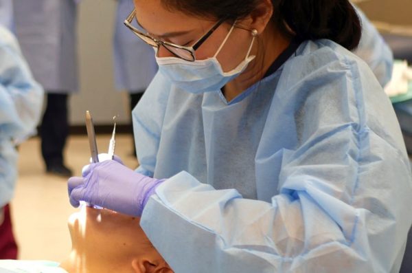How High School Students Can Prepare for Dental School Now