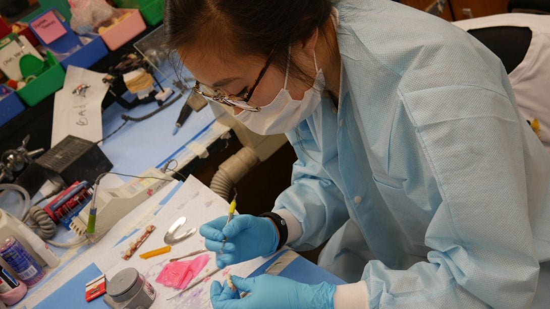 dentist in a lab