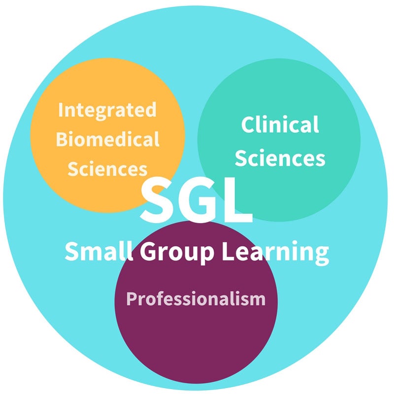 SGL: Small Group Learning; Integrated Biomedical Sciences; clinical sciences; professionalism