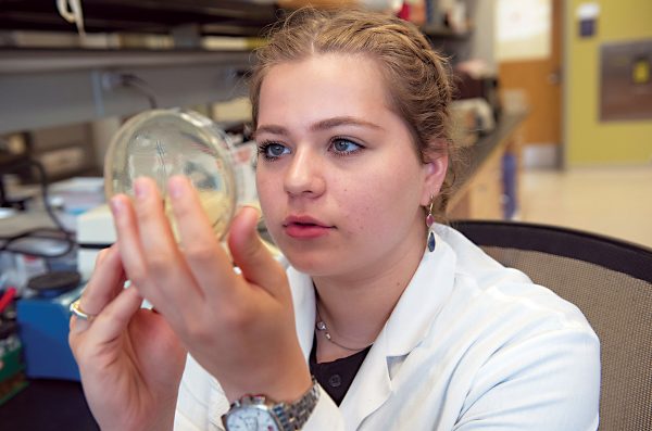 student examining a petri dish