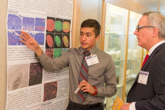 men looking at posters on whiteboard