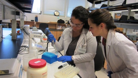 students working in lab