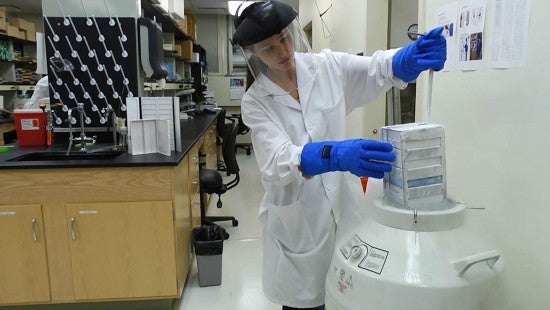 woman working in lab