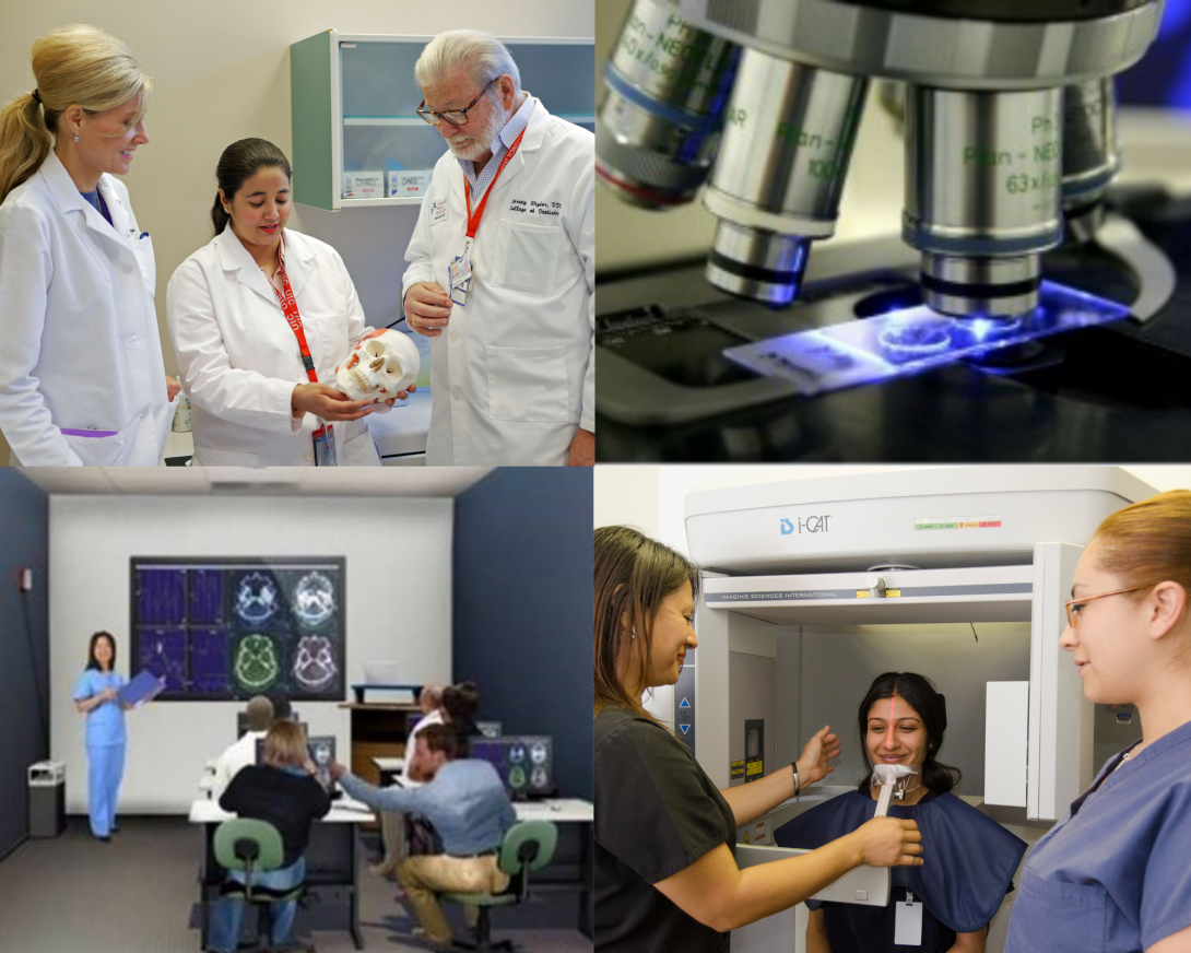 collage of patients with dentists