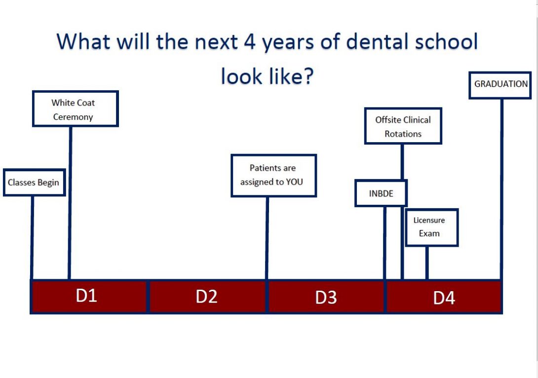 What will the next 4 years of dental school look like?