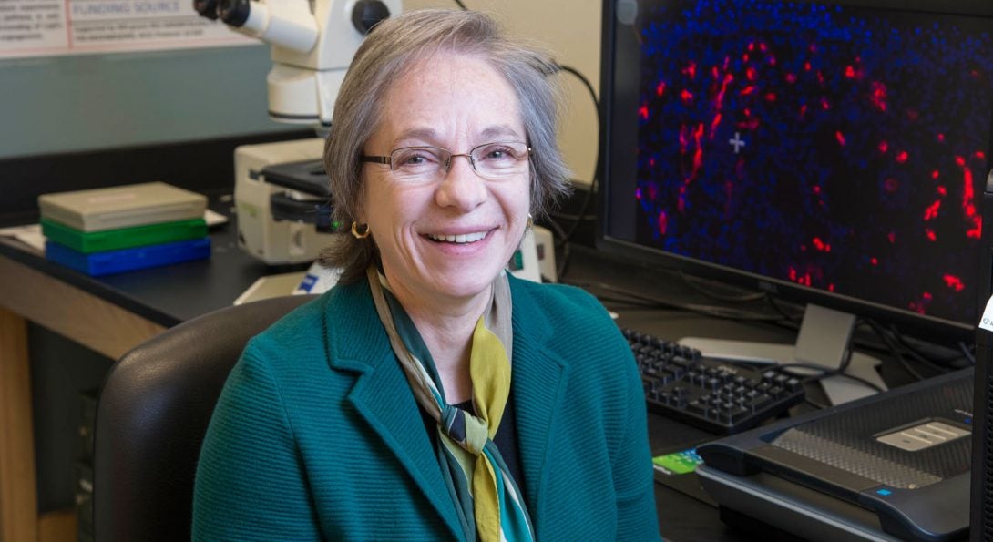 Dr. Luisa DiPietro