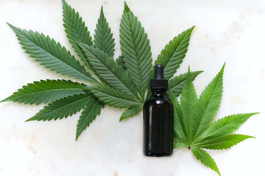 black bottle of cannabis tincture in front of three marijuana leaves