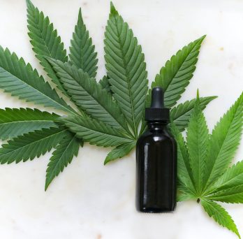 black bottle of cannabis tincture in front of three marijuana leaves 