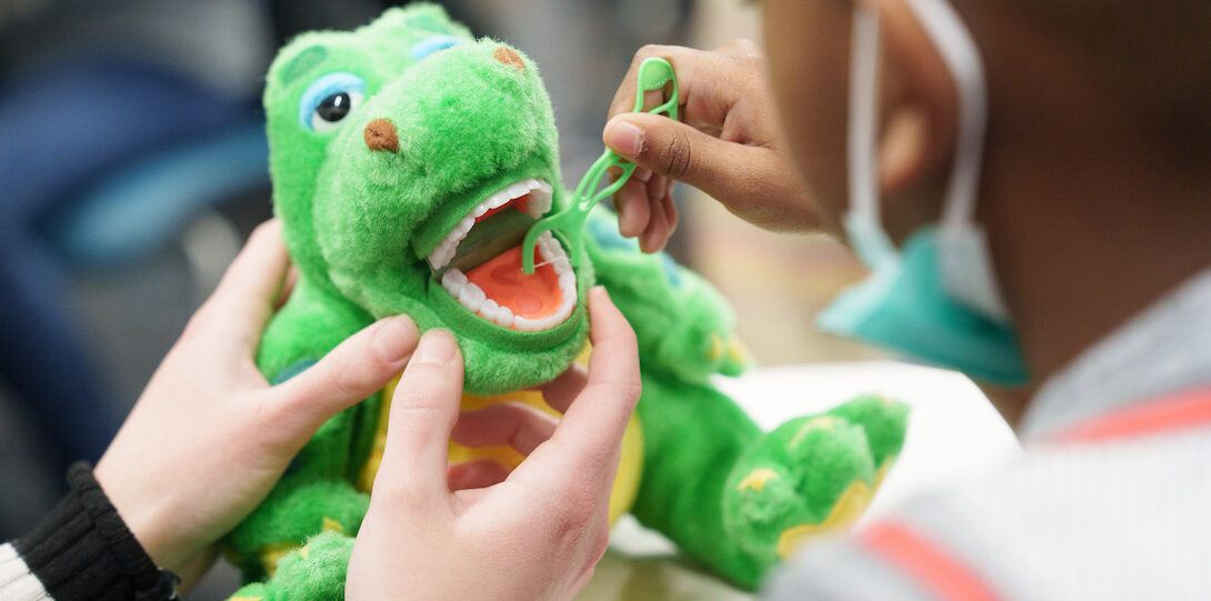 A student flossing a stuffed animal's mouth