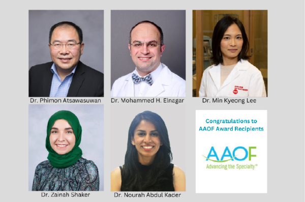 UIC Orthodontics 2024 AAOF Award Recipients